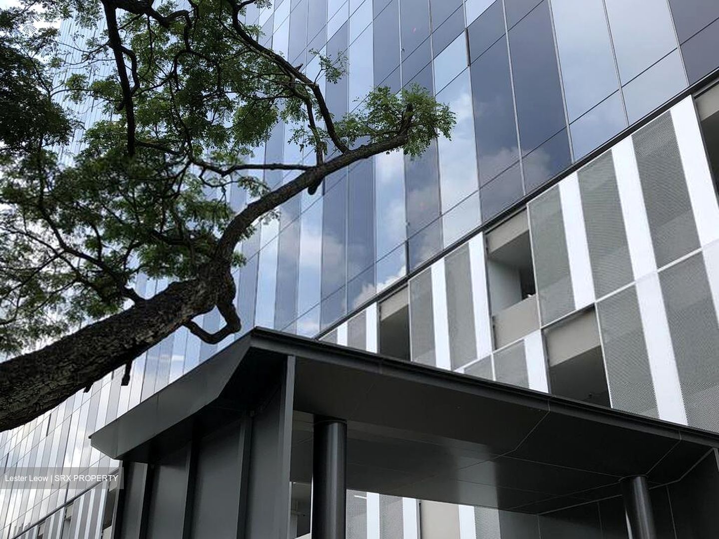 Kallang Avenue (D12), Factory #455450251